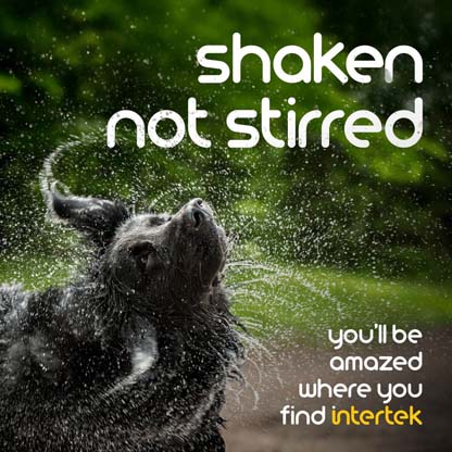 Dog shaking off droplets of water